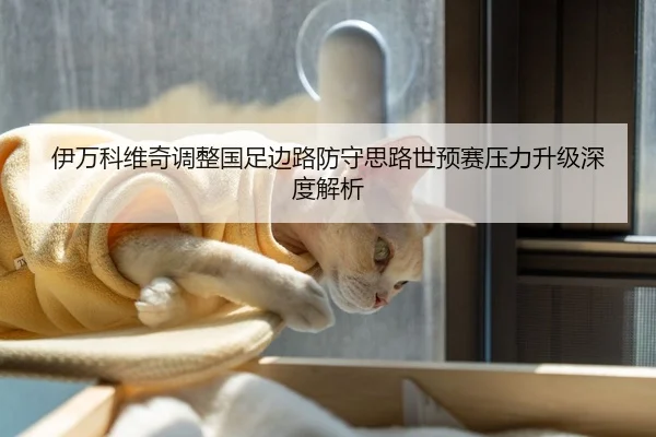 伊万科维奇调整国足边路防守思路世预赛压力升级深度解析
